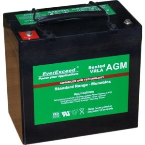 Аккумуляторная батарея EverExceed ST-1255