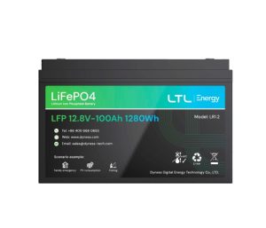Аккумуляторная батарея LiFePO4 Dyness LR1.2, 12.8V/100Аh (1,28kWh)